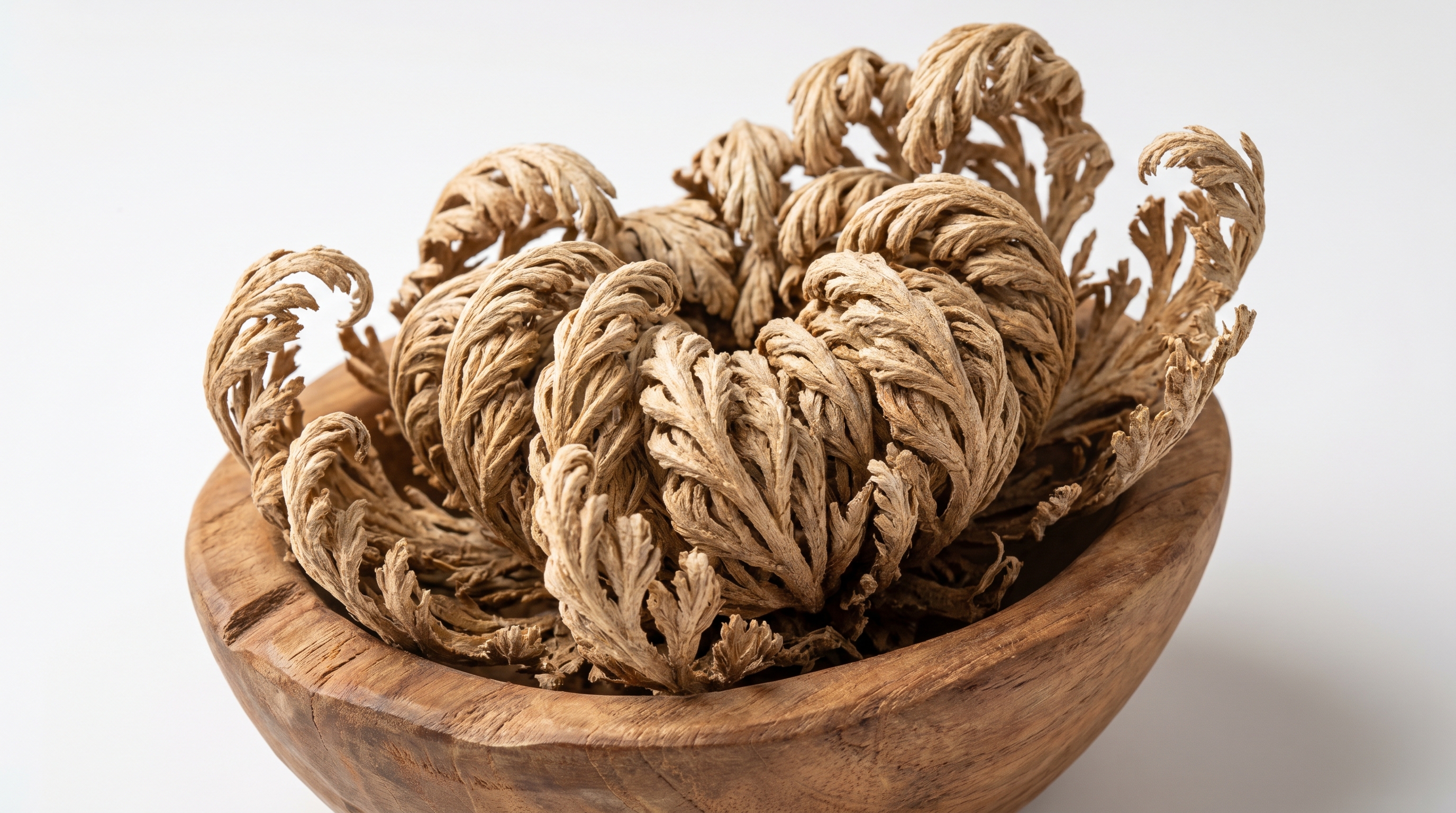 EGY Herb Export