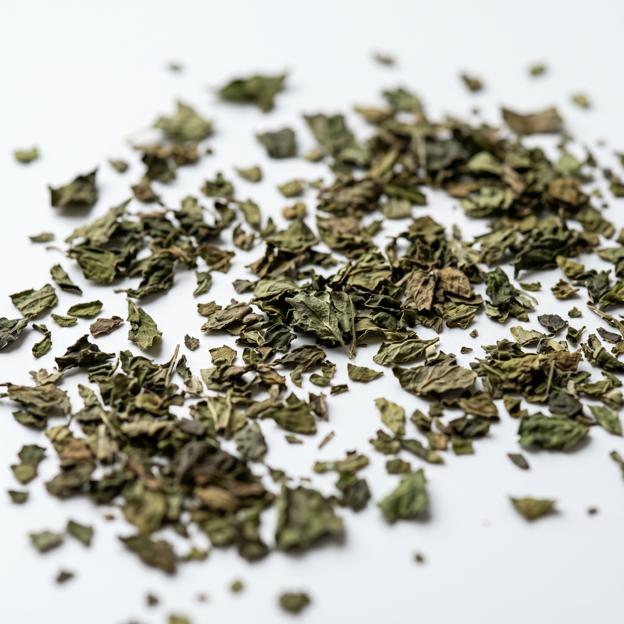 Fresh Egyptian Basil Bulk Export 3