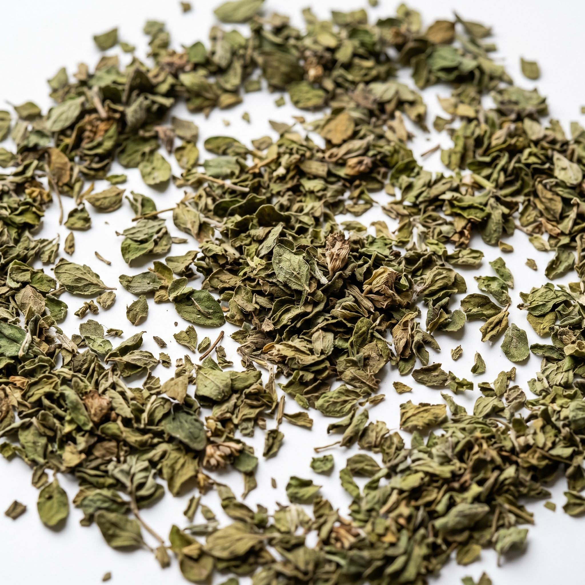 Premium Egyptian Marjoram Bulk Export 4