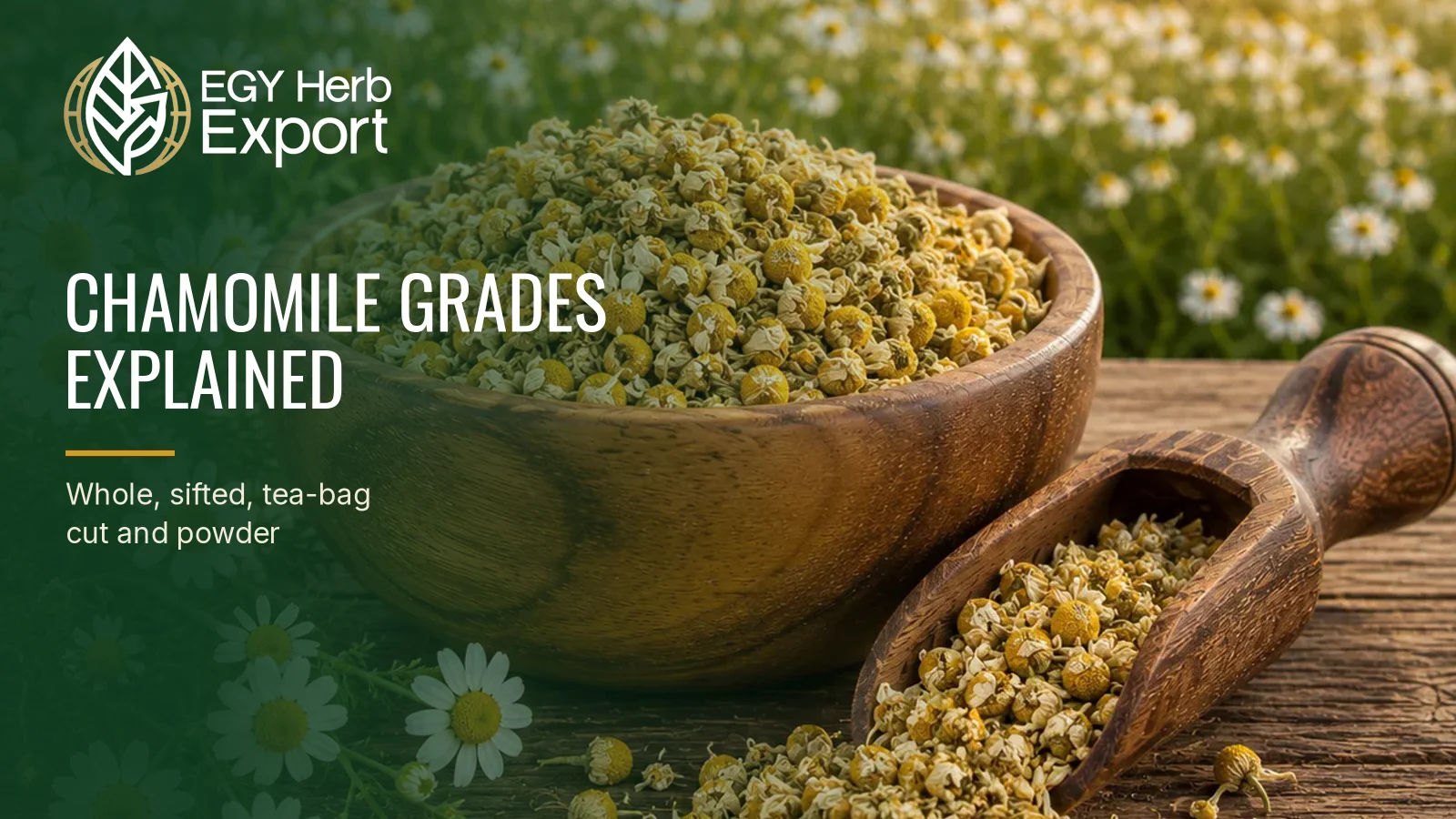 Chamomile Grades Explained: Whole, Sifted, Tea-Bag Cut and Powder